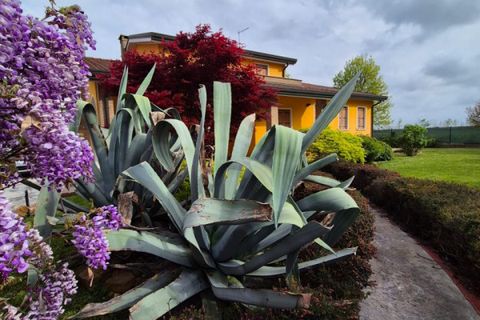 Villa a Brugine, Padua, Brugine - € 480.000 | Ref: BRUC54 - foto 4