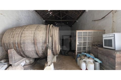 Farm i Azambuja, Lisbon, Azambuja - € 460.000 | Ref: 315.021.004 - foto 30