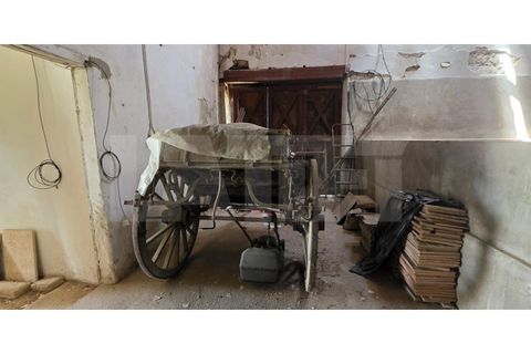 Farm i Azambuja, Lisbon, Azambuja - € 460.000 | Ref: 315.021.004 - foto 32