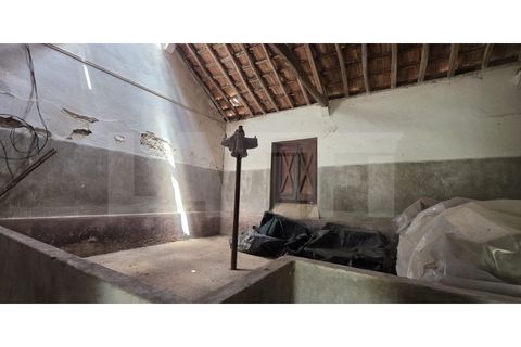 Farm i Azambuja, Lisbon, Azambuja - € 460.000 | Ref: 315.021.004 - foto 33
