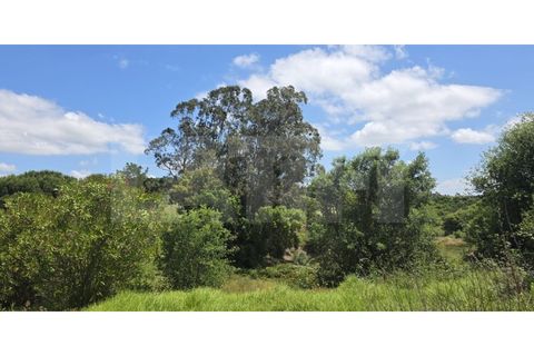 Farm i Azambuja, Lisbon, Azambuja - € 460.000 | Ref: 315.021.004 - foto 36