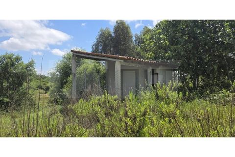 Farm i Azambuja, Lisbon, Azambuja - € 460.000 | Ref: 315.021.004 - foto 37