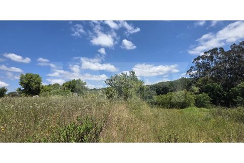Farm i Azambuja, Lisbon, Azambuja - € 460.000 | Ref: 315.021.004 - foto 38