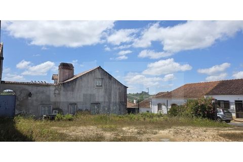 Farm i Azambuja, Lisbon, Azambuja - € 460.000 | Ref: 315.021.004 - foto 39