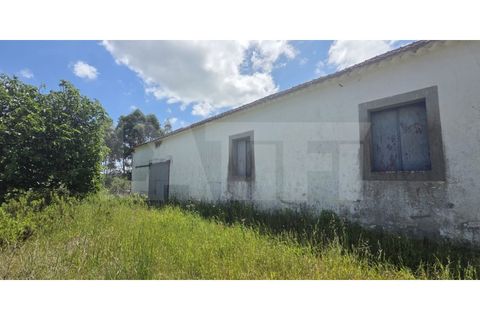 Farm i Azambuja, Lisbon, Azambuja - € 460.000 | Ref: 315.021.004 - foto 40