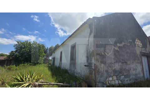 Farm i Azambuja, Lisbon, Azambuja - € 460.000 | Ref: 315.021.004 - foto 41