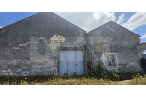 Farm i Azambuja, Lisbon, Azambuja - € 460.000 | Ref: 315.021.004 - foto 42