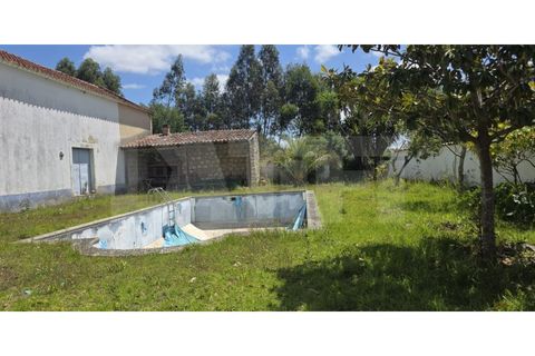 Farm i Azambuja, Lisbon, Azambuja - € 460.000 | Ref: 315.021.004 - foto 44