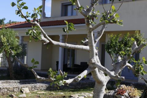 Villa a Ansiao, Leiria, Ansiao - € 545.000 | Ref: Q42 - foto 6