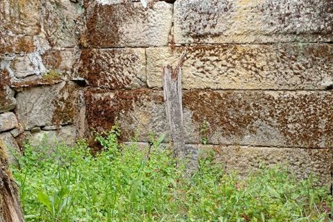 Villa i Mangualde, Viseu, Mangualde - € 25.000 | Ref: Q46 - foto 6