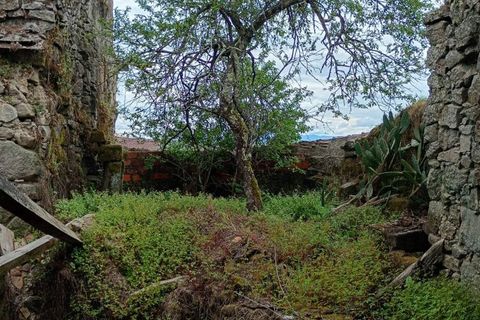 Villa i Mangualde, Viseu, Mangualde - € 25.000 | Ref: Q46 - foto 7