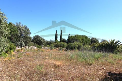 Helårsgrund i Estoi, Faro, Estoi - € 35.000 | Ref: SÒL609 - foto 3