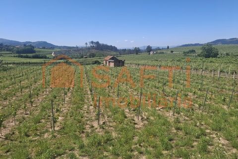 Helårsgrund i Moncao, Viana do Castelo, Moncao - € 20.000 | Ref: SAFTI:008258 - foto 1
