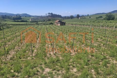 Helårsgrund i Moncao, Viana do Castelo, Moncao - € 20.000 | Ref: SAFTI:008258 - foto 3