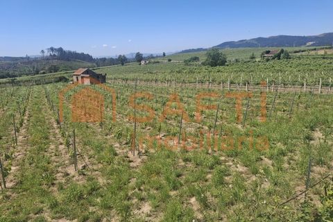 Helårsgrund i Moncao, Viana do Castelo, Moncao - € 20.000 | Ref: SAFTI:008258 - foto 4