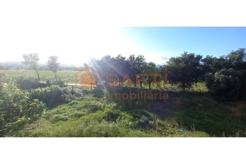 Villa i Ganfei, Viana do Castelo, Ganfei - € 220.000 | Ref: SAFTI:008256 - foto 11