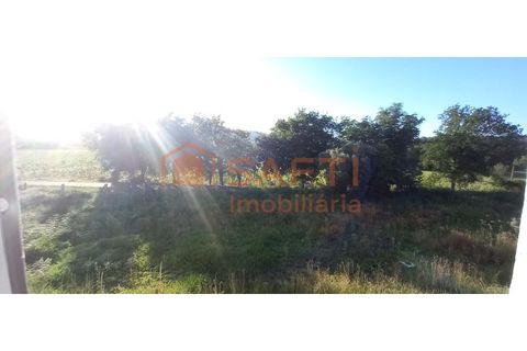 Villa i Ganfei, Viana do Castelo, Ganfei - € 220.000 | Ref: SAFTI:008256 - foto 15