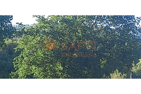 Villa i Ganfei, Viana do Castelo, Ganfei - € 220.000 | Ref: SAFTI:008256 - foto 17