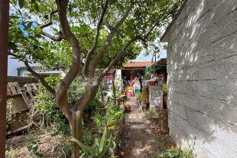 Villa a Riachos, Santarem, Riachos - € 160.000 | Ref: 02024-26 - foto 20