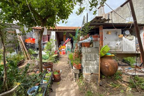Villa a Riachos, Santarem, Riachos - € 160.000 | Ref: 02024-26 - foto 21