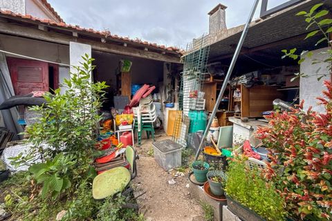 Villa a Riachos, Santarem, Riachos - € 160.000 | Ref: 02024-26 - foto 22