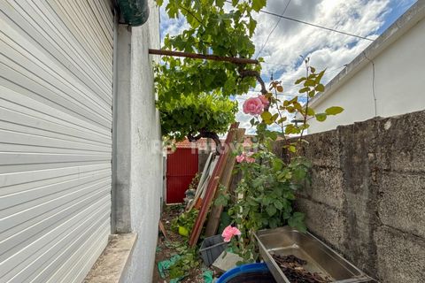 Villa a Riachos, Santarem, Riachos - € 160.000 | Ref: 02024-26 - foto 24
