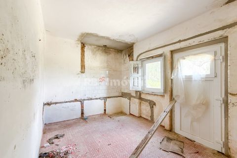 Villa a Abrantes, Santarem, Abrantes - € 110.000 | Ref: 02003-26 - foto 15
