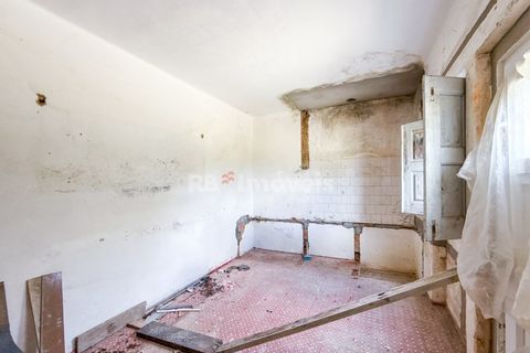 Villa a Abrantes, Santarem, Abrantes - € 110.000 | Ref: 02003-26 - foto 18