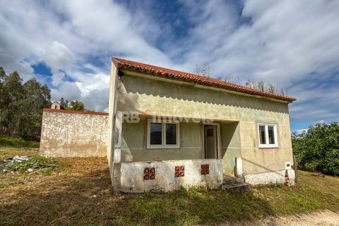 Villa a Abrantes, Santarem, Abrantes - € 110.000 | Ref: 02003-26 - foto 32