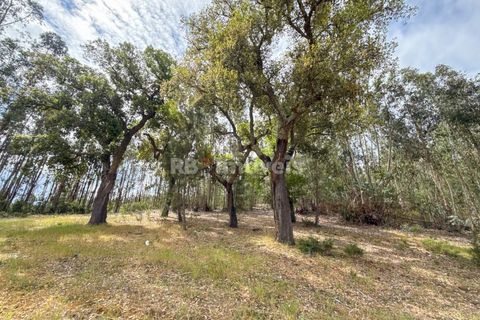 Villa a Abrantes, Santarem, Abrantes - € 110.000 | Ref: 02003-26 - foto 34