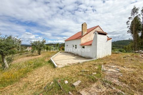 Villa a Abrantes, Santarem, Abrantes - € 110.000 | Ref: 02003-26 - foto 36