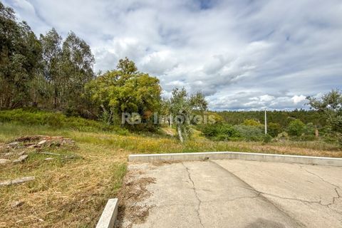 Villa a Abrantes, Santarem, Abrantes - € 110.000 | Ref: 02003-26 - foto 39