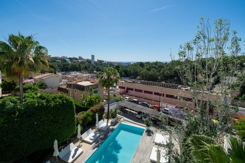 Lejlighed i Cala Mayor, Mallorca, Cala Mayor - € 595.000 | Ref: 2374 - foto 12