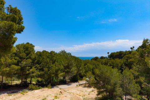 Helårsgrund i Javea, Alicante, Javea - € 555.000 | Ref: SLV15-4293E - foto 3