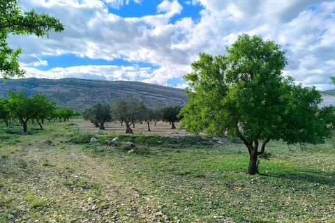 Helårsgrund i Caudete, Albacete, Caudete - € 8.900 | Ref: 70121 - foto 1