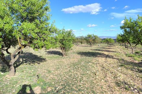 Helårsgrund i Caudete, Albacete, Caudete - € 8.900 | Ref: 70121 - foto 2