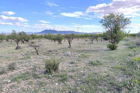 Helårsgrund i Caudete, Albacete, Caudete - € 8.900 | Ref: 70121 - foto 3