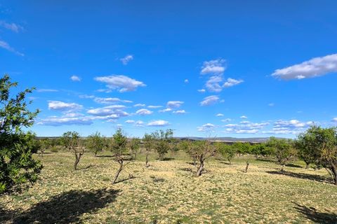 Helårsgrund i Caudete, Albacete, Caudete - € 8.900 | Ref: 70121 - foto 5