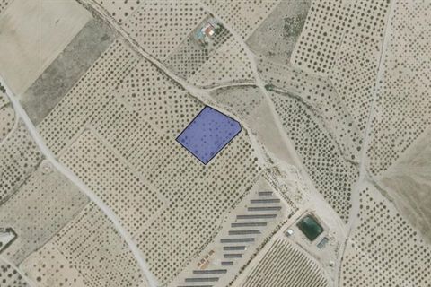 Helårsgrund i Caudete, Albacete, Caudete - € 8.900 | Ref: 70121 - foto 6