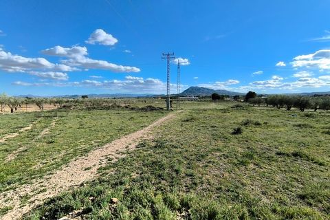 Helårsgrund i Caudete, Albacete, Caudete - € 12.000 | Ref: 70119 - foto 2