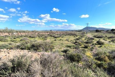 Helårsgrund i Caudete, Albacete, Caudete - € 12.000 | Ref: 70119 - foto 3