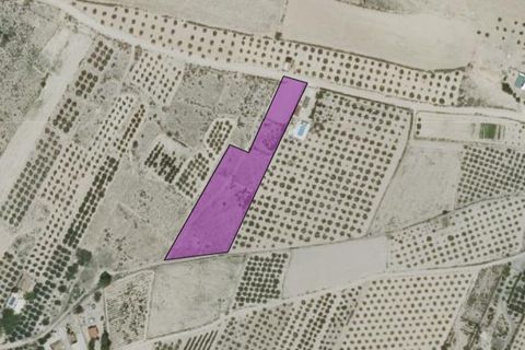 Helårsgrund i Caudete, Albacete, Caudete - € 12.000 | Ref: 70119 - foto 6