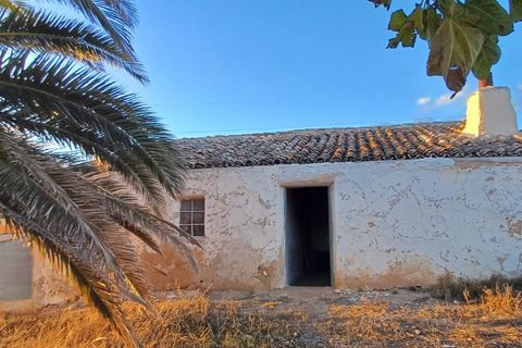 Landejendom i Yecla, Murcia, Yecla - € 39.000 | Ref: 54167-PB - foto 2