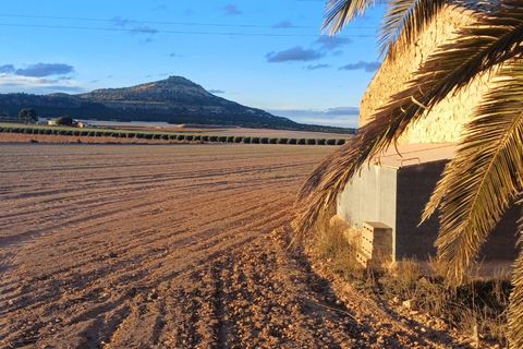 Landejendom i Yecla, Murcia, Yecla - € 39.000 | Ref: 54167-PB - foto 5