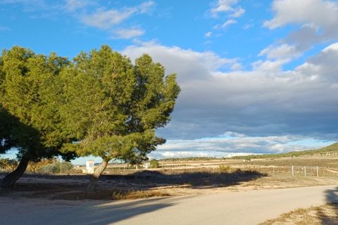 Landejendom i Yecla, Murcia, Yecla - € 70.000 | Ref: 54166-PB - foto 14