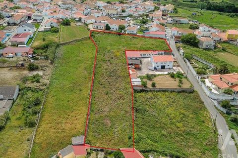 Terra a Sintra, Lisbon, Sintra - € 280.000 | Ref: 913458 - foto 15