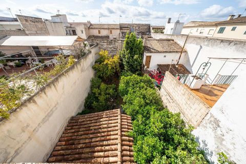 Villa a Sa Pobla, Mallorca, Sa Pobla - € 435.000 | Ref: 13ARJS048/3010 - foto 20