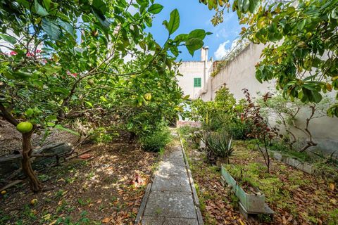 Villa a Sa Pobla, Mallorca, Sa Pobla - € 435.000 | Ref: 13ARJS048/3010 - foto 44