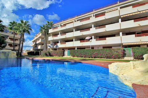Leilighet i Playa Flamenca, Alicante, Playa Flamenca - € 225 000 | Ref: 781132 - foto 24