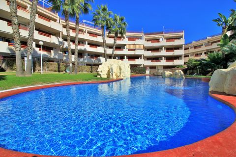 Leilighet i Playa Flamenca, Alicante, Playa Flamenca - € 225 000 | Ref: 781132 - foto 27